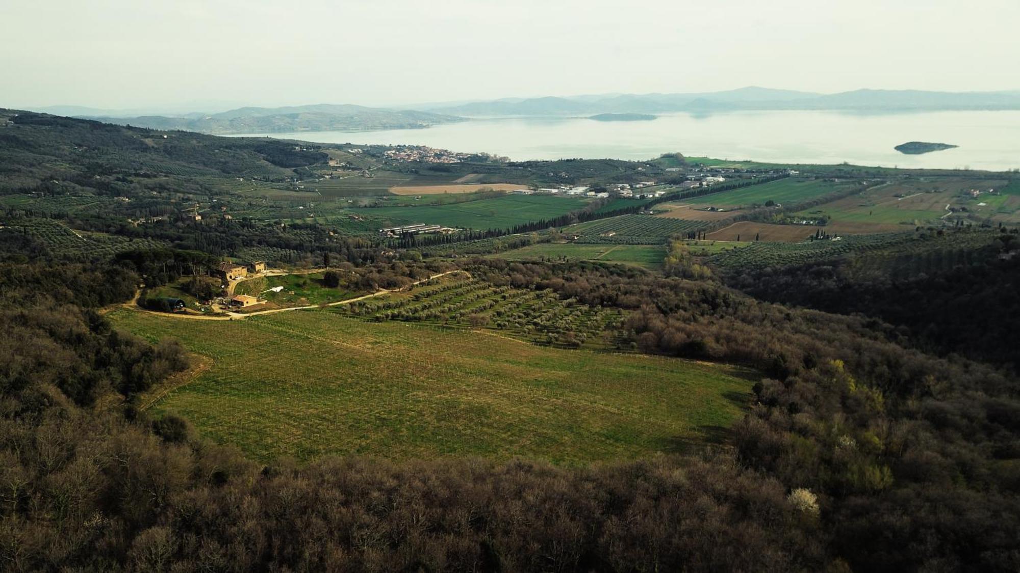 Di Colle In Colle - Agriturismo Passignano sul Trasimeno Ngoại thất bức ảnh